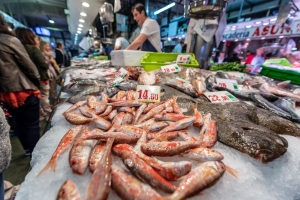 Santander a bocados